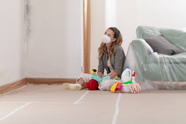 Reliable Black Mold Removal contractor in Glendale, AZ by WQB Mold Removal